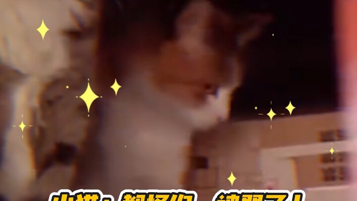 Li Hua: Aku bilang sekali lagi! Ini tiket makan kita! Tiket makan!