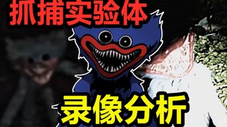 هروب وحوش الألعاب! الفيلم الوثائقي الرسمي لـ"بوبي بلاي تايم"
