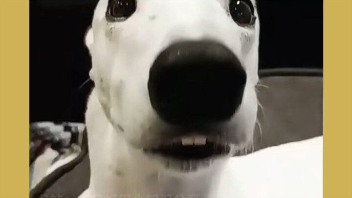 ماذا!؟ #رواية_إنترنت #رواية