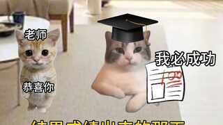 วันรุ่งขึ้นหลังจากที่แมวสอบเสร็จ