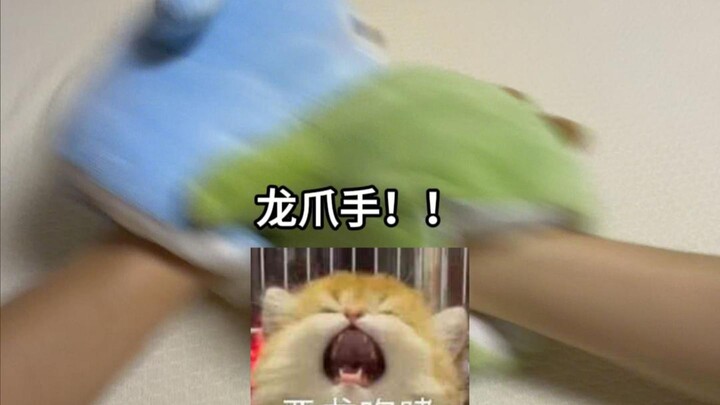 ปลาขมวดตัวทำเอ๋อหลงโกรธจนคลั่ง