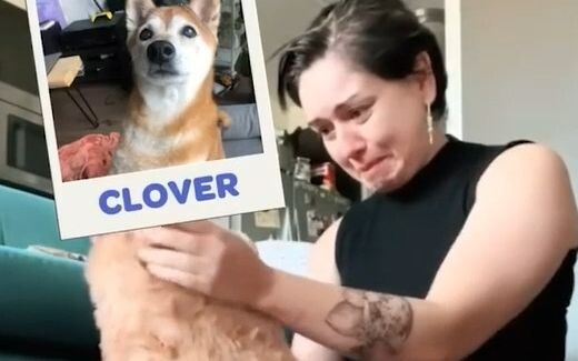 บริษัทของเล่นต่างประเทศแห่งหนึ่งรับทำตุ๊กตาผ้าขนตามคำขอของลูกค้า โดยใช้รูปภาพสุนัขที่จากไปมาเป็นแบบ 