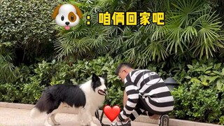 تظاهر بربط حذائك أثناء المشي مع كلبك وشاهد كيف يتفاعل.