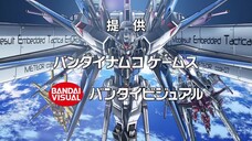 Mobile Suit Gundam Seed Destiny Remaster 48 sub indo