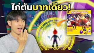 บล็อกฟุต สุ่มไก่ตันบาทเดียว ได้จริงหรือโกง!? Blox Fruits