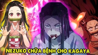 Tại Sao Nezuko Không Dùng Bộc Huyết Chữa Cho Ubuyashiki Kagaya | Kimetsu No Yaiba