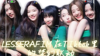 【LESSERAFIM】新女团都把Tiktok玩明白了！
