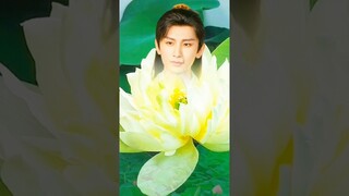 ชีวิตรันทดเสียจริง น้องบัว 😌 #莲花楼  #หอดอกบัวลายมงคล #เฉิงอี้ #เจิ้งซุ่นซี #ซีรีส์จีน #พระเอกจีน