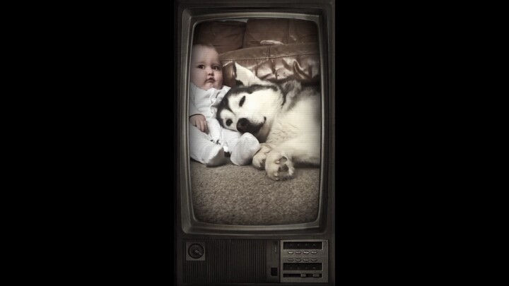 far away from me by frank