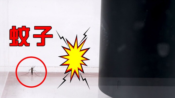 Cho muỗi vào không gian kín, dùng loa siêu trầm có thể rung chết chúng được không?