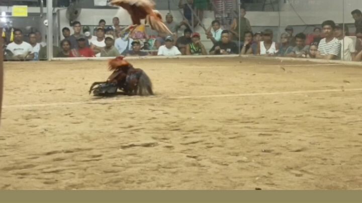 SPEED & ACCURACY OF OUR GOLD🧡🏆