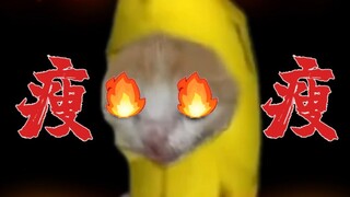 Banana Cat decided to run to lose weight again, but temptations were everywhere, and he ended up cry