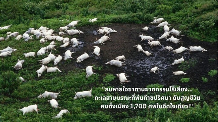 "ลมหายใจซาตานฆาตกรรมไร้เสียง... ทะเลสาบมรณะที่พ่นก๊าซปริศนา ดับสูญชีวิตคนทั้งเมือง 1,700 ศพในอึดใจเด