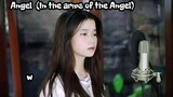 Angel (In the arms of the Angel- Shania Yan version
