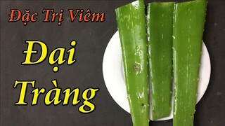 chỉ cần 2 thìa mỗi ngày, chữa dứt điểm bệnh viêm đại tràng tại nhà bằng nha đam