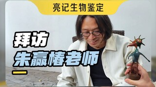 在南京拜访喜欢的艺术家，发现大自然中细微的美