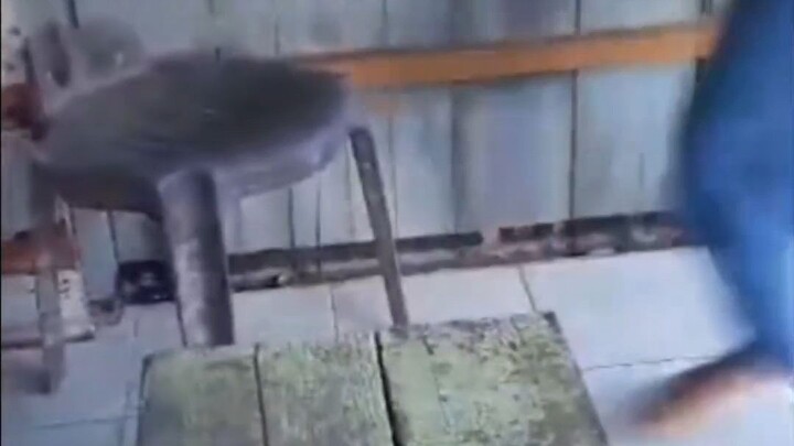 tujuh_belasan_full_haki