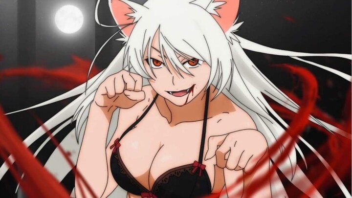Cat waifu🤤