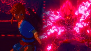 Link (Level 100) Vs Calamity Ganon (Very Hard Mode) - Hyrule Warriors: Age of Calamity