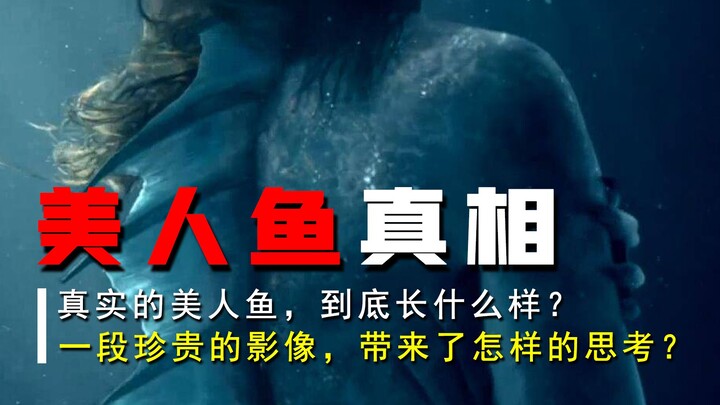 【حلّ اللغز】 هل حوريات البحر الحقيقية قبيحات وشريرات؟ هل يمكن لشريط فيديو نادر أن يثبت وجودهن؟