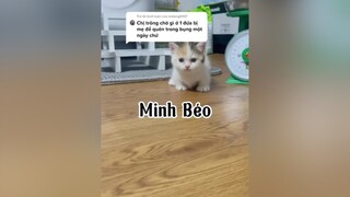 Trả lời  Ok em 😂😂😂😂 huhu LearnOnTikTok cat