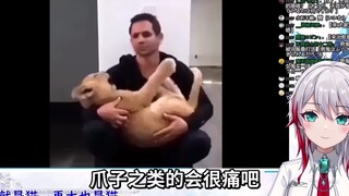 Gadis natural Jepang mengamati "Kucing tetaplah kucing, sebesar apa pun ia tetaplah seekor kucing"