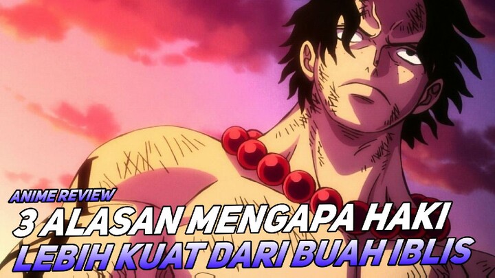 INILAH ALASAN MENGAPA HAKI LEBIH KUAT DARI BUAH IBLIS !
