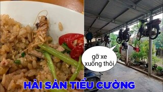 Cơm chiên giàu chất dinh dưỡng😂 - Top bình luận Face Book.