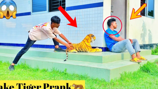 แกล้งเสือ 2022🐅 !! วิดีโอแกล้งเสือ vs ผู้ชาย🐅 วิดีโอตลกมาก By - Again Prank TV