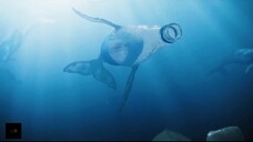 令人细思极恐的画面,海洋生物发生可怕变异#被污染的水下世界 #高分电影