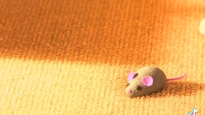 who's crying?, you are