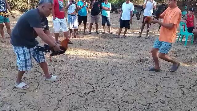 tupada sa fiesta