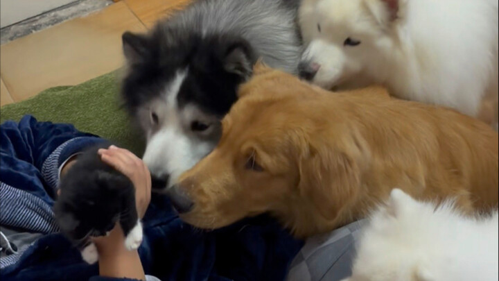 Xin lỗi, hãy tha thứ cho việc anh không giữ lời hứa.