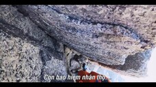 Cuộc đua lên đỉnh núi Full Movie [Sub Việt]