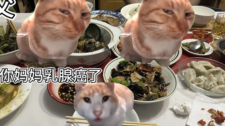 【猫meme】当你过年回家得知妈妈患癌