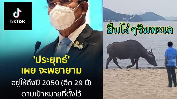 รวมคลิปล้อเลียน ลุงตู่ #TikTok EP.15
