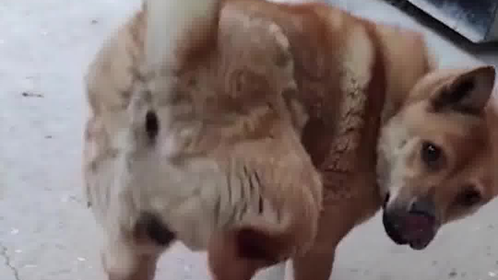 Come on, you deserve this.