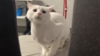 Firefighter: Yes, it was already burning like this when we arrived.