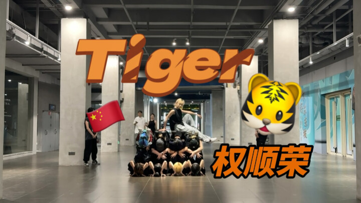 【中国】全网最强全女tiger翻跳｜11人超高质量｜权顺荣tiger｜hoshi生日快乐！！！虎浪嘿～