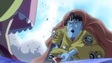 "Luffy sắp làm vua Hải Tặc!" Lãng mạn quá!