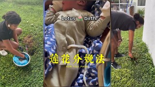 「莲花分娩法」：不切断胎儿和胎盘连接的脐带，而是等待其自然脱落.....