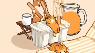 “可爱猫咪生产萌萌瞬间”