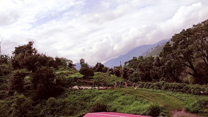 beautiful place beautiful view of live saving breathing