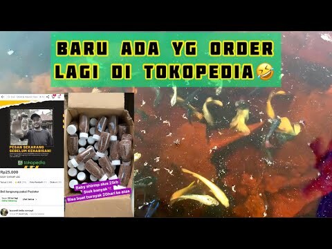 BURAYAK DOYAN BANGET !! CUMA 25K !!