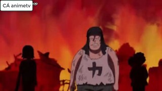 200 bí ẩn chưa được giải đáp trong One Piece __ 3