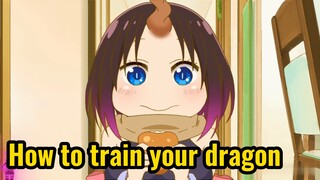 How to train your dragon