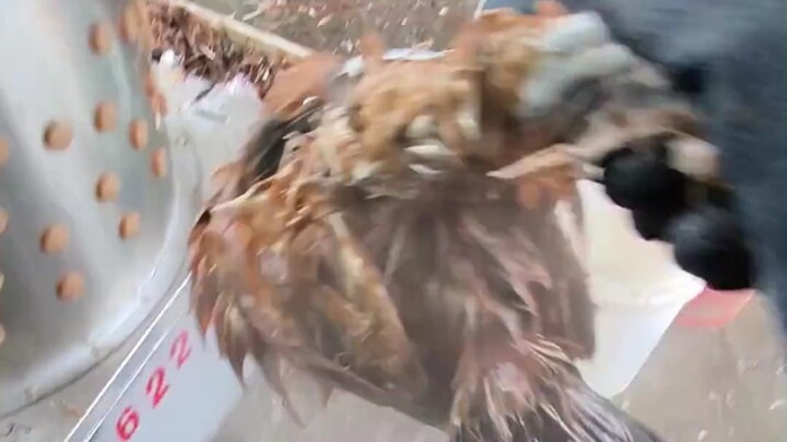 Cái máy mới đúng là đỉnh luôn!