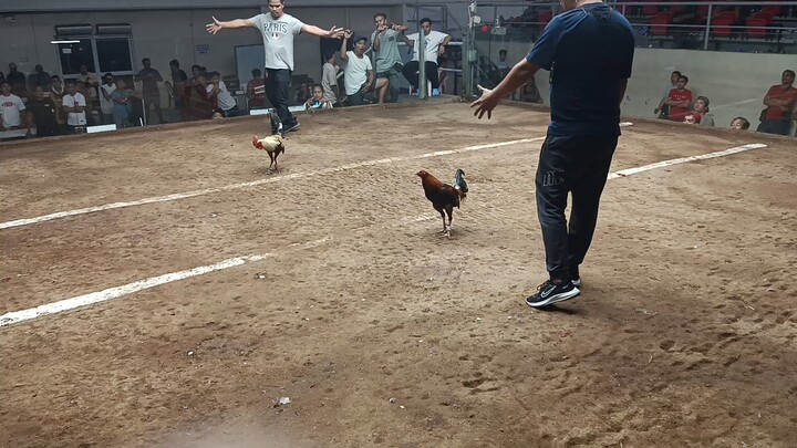 CDM HACKFIGHT GRUPONG DEHADO 😅☺️