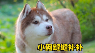 终于把这几个月的部分经历整理出来了。好不容易又能再多爱一天。