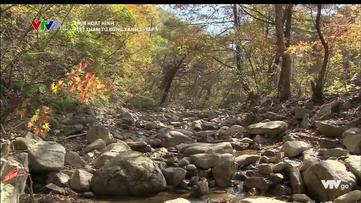 Peet - Thám tử rừng xanh (Tập 31 - VTV7 Lồng tiếng) Chiếu ngày 25/5/2017